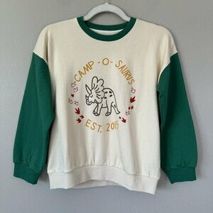 Fin & Vince Dinosaur Sweatshirt